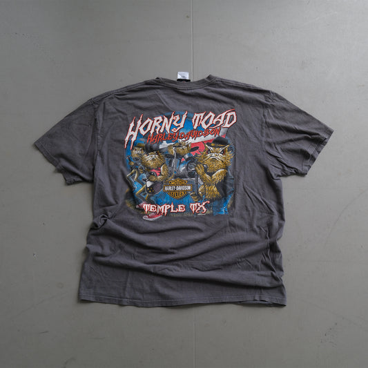 Vintage 15' Harley-Davidson Horny Toad Temple TX Tee